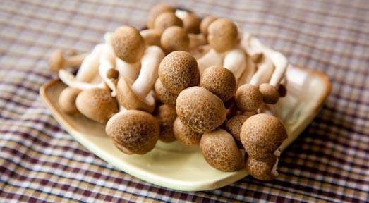 Công dụng của các loại nấm