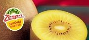 KIWI ZESPRI SUNGOLD – NGẮM VẺ TƯƠI NGON, NẾM VỊ TUYỆT HẢO