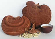 5 tiêu chuẩn chọn nấm Linh chi Hàn Quốc tốt