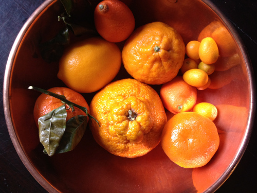 Những lợi ích của quả quýt bạn không nên bỏ qua